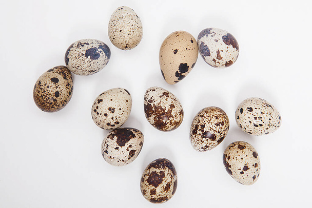 мелкие перепелиные яйца на белом фоне. - Фото, изображение