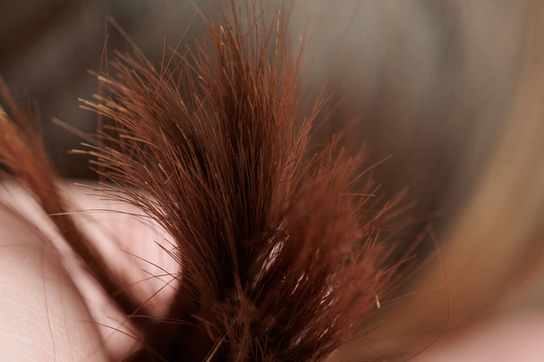 Zár az emberi barna haj a kézben közelről - Fotó, kép