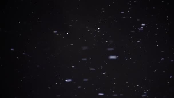 neve real, neve caindo, isolado em fundo preto em 4K, - Filmagem, Vídeo