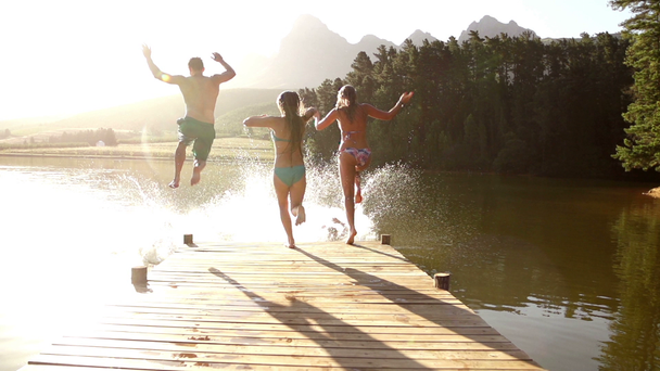 Freunde rennen und springen in See - Filmmaterial, Video