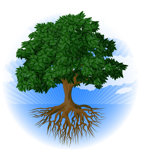Tree with roots. - Vector, Image