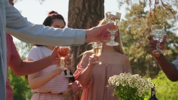 Low angle slow motion medium shot of cheerful young men and women having summer party outdoors clinking glasses with drinks - Footage, Video
