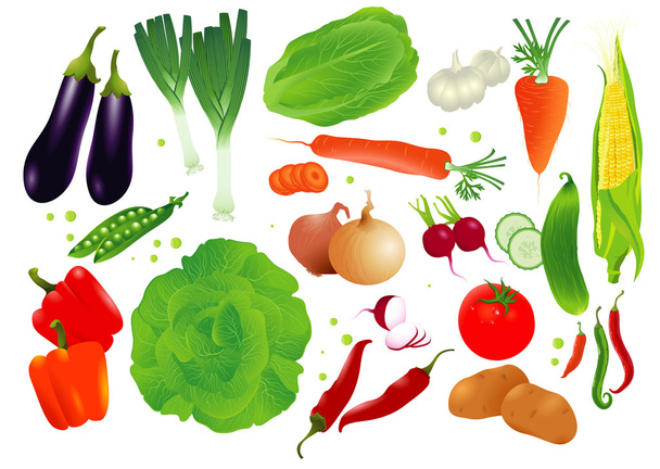 Vector set of raw vegetables. - Vector, Image