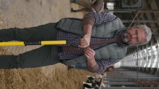 Ritratto verticale dell'uomo di mezza età con capelli grigi e barba appoggiata alla pala e in posa presso l'allevamento di bovini - Filmati, video