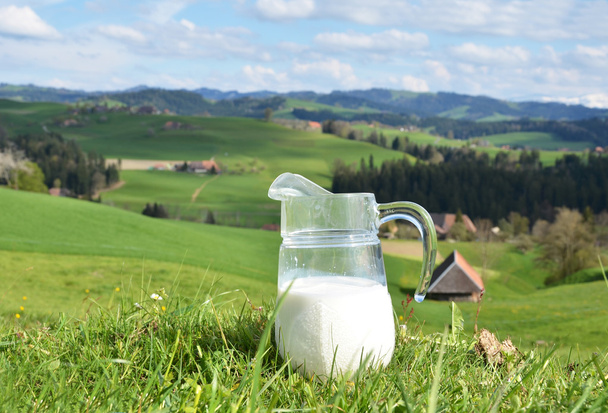 Jug of milk - Photo, Image