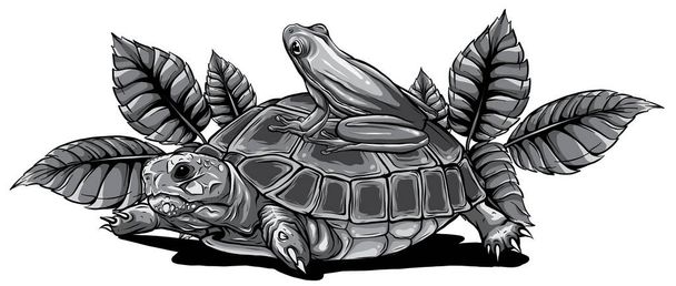 monochromatic Frog and Turtle vector illustration graphics art - Vector, Image