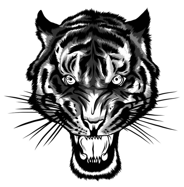 monochromatic Tiger anger. Vector illustration of a tiger head. - Vector, Image
