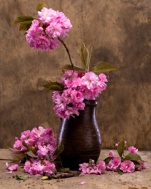 Sakura en jarrón
  - Foto, imagen
