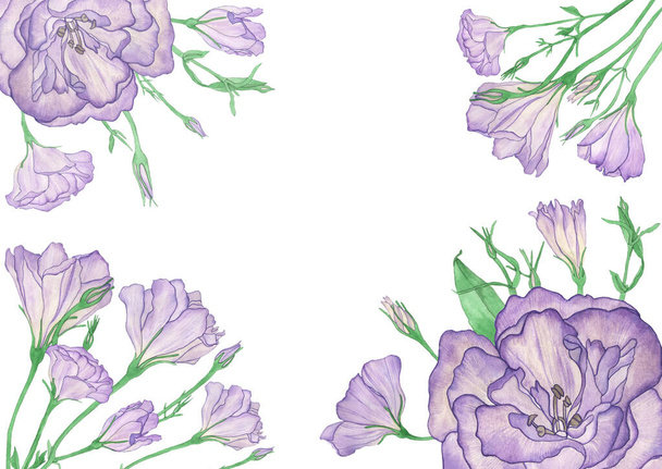 Marco de acuarela Eustoma Lisianthus flores y ramas ilustración - Foto, imagen
