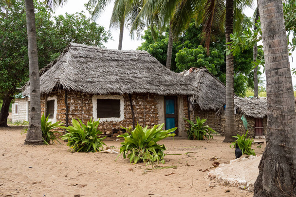 Zaramo style houses in the Watamu forest in southern Kenya in Africa - Photo, Image