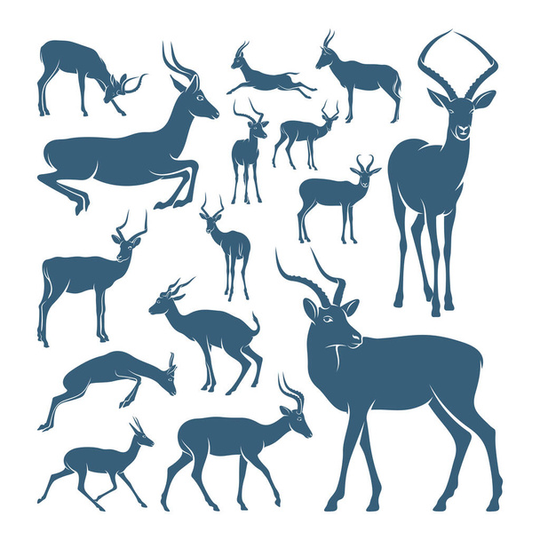 Antilop design vektor illusztráció készlet, Creative antilop logo design koncepciók sablon, ikon szimbólum - Vektor, kép