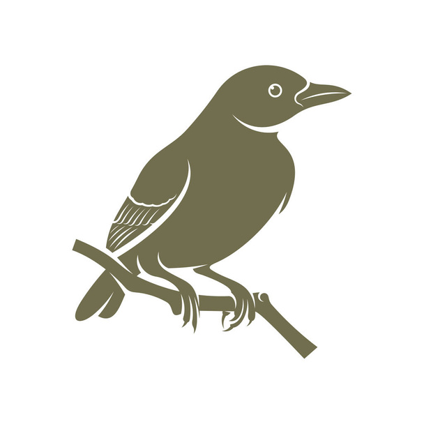 Вектор дизайну логотипу птахів. Символ піктограми. Шаблонна ілюстрація. Креативний дизайн
 - Вектор, зображення