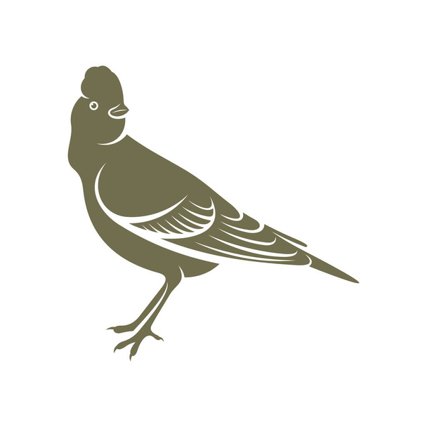Lark bird logo design vector. Simbolo dell'icona. Illustrazione modello. Design creativo - Vettoriali, immagini