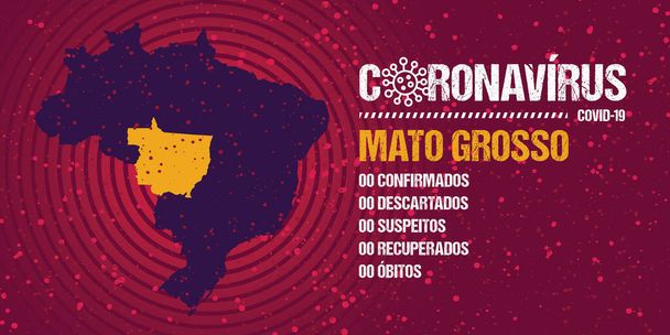 Infographics for epidemic progression in the state of Mato Grosso, Brazil. Text v brazilštině portugalsky říká: "koronavirus, potvrzený, vyřazený, podezřelý, nalezený, úmrtí". - Vektor, obrázek