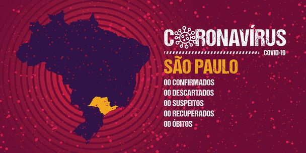 Infographics for epidemic progression in the state of Sao Paulo, Brazil. Text in brazilian portuguese saying  "coronavirus, confirmed, discarded, suspect, recovered, deaths". - Vector, Image
