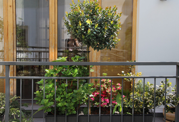 prachtig terras met een heleboel bloemen - Foto, afbeelding