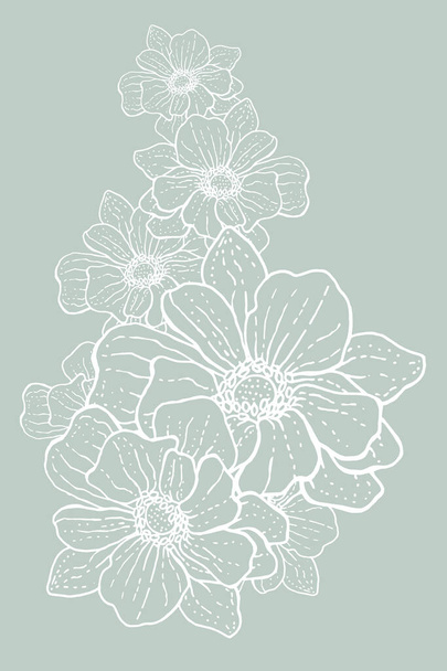 Yumuşak ve şirin bir arkaplan ve pürüzsüz çizgilerden çizilmiş beyaz karacaot desenli çiçekler. Güzel bahar çiçekleri - Fotoğraf, Görsel