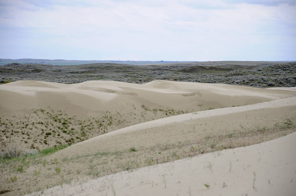 Great Sandhills Dél-nyugati részén Saskatchewan, Kanada. - Fotó, kép