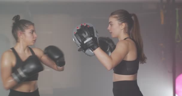 close-up van twee meisjes boksen in de sportschool - Video
