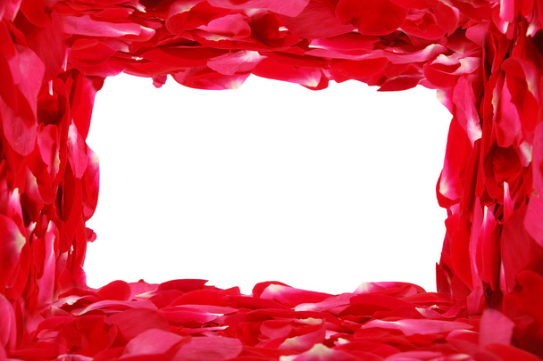 Rose Petal Frame - Foto, imagen