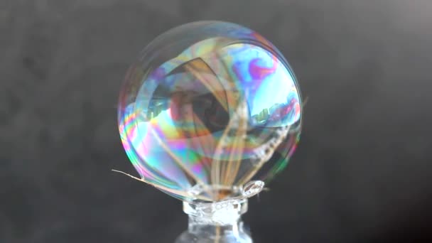 Interferencia de la luz en una película de burbujas. El espesor cambiante de la película de jabón crea condiciones para la aparición del fenómeno de interferencia de la luz. - Metraje, vídeo