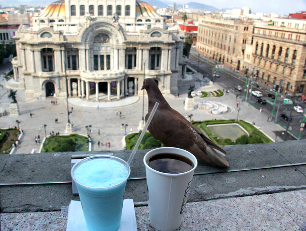 vista panorámica del palacio de bellas artes en la ciudad de México con pájaro, café y bebida azul en primer plano - Foto, imagen