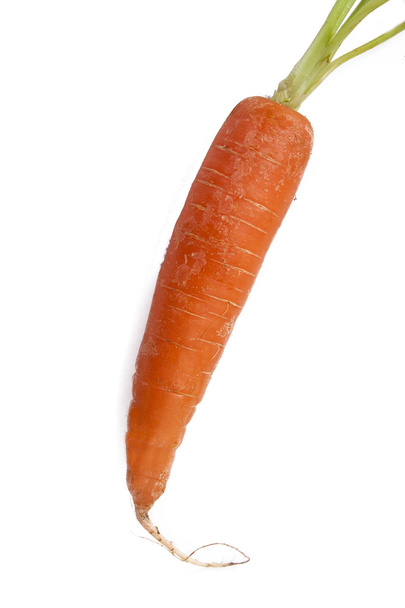 Морковь - Фото, изображение
