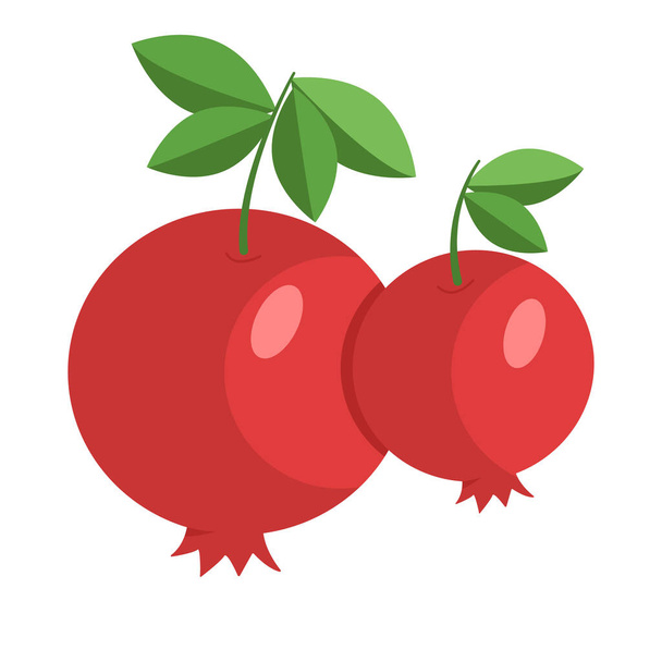 Roter Granatapfel isoliert auf weißem Hintergrund. Reife Früchte. Gestaltungselement. Vektorillustration im flachen Stil - Vektor, Bild