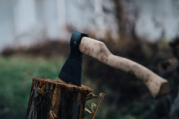 сокира природа збирає дрова для багаття в лісі
 - Фото, зображення