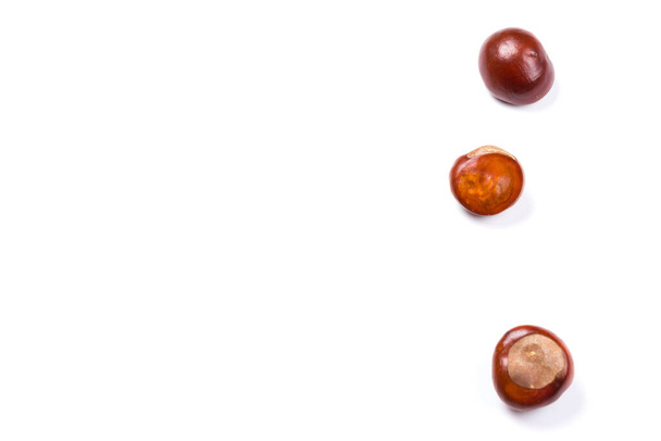 Осень - Свежие фрукты каштана, Castanea, Лошадь-каштан (Aesculus hippocastanum), изолированные на белом фоне, крупным планом - Фото, изображение