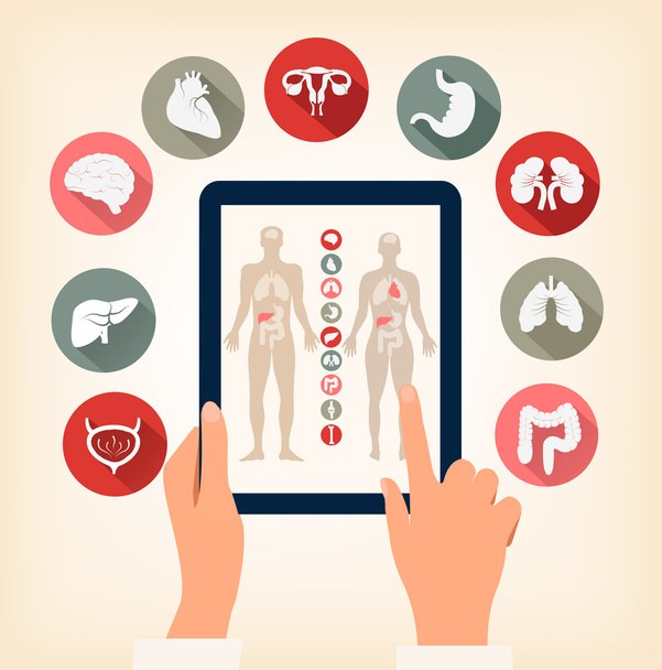 Two hands touching screen of a tablet with human organ icons. Ve - Vector, imagen