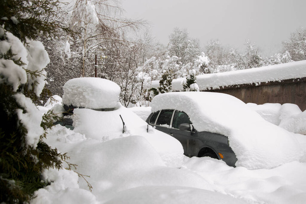 Sneeuw bedekte auto 's in het winterseizoen, sneeuwstorm, Bulgarije - Foto, afbeelding