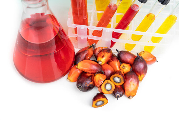 Красный цвет неочищенное пальмовое масло и фрукты с пробиркой в лаборатории - Фото, изображение