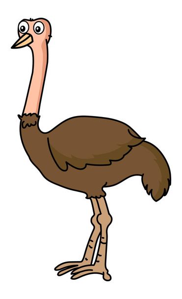 Un vector de ilustración de avestruz de pie aislado en fondo blanco - Vector, Imagen