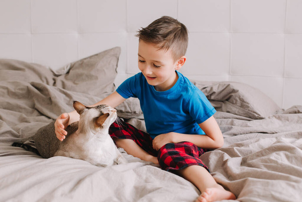Fehér fiú ül az ágyon otthon a hálószobában, simogatja a keleti macskát. Gyermek háziasított szőrös macskaállattal. Aranyos, őszinte gyerekkori pillanat. Allergia háziállatokra, egészségügyi problémák. - Fotó, kép