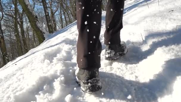Bottes de randonnée pédestre d'hiver avec les jambes dans la neige. Vue arrière aux pieds marchant à travers la neige profonde. Mouvement lent - Séquence, vidéo