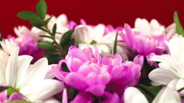 Proces vytváření kytice květin jako dárek na jarní prázdniny, muž klade květinu - Záběry, video