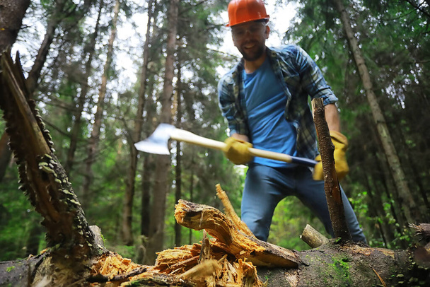 Mužský dělník se sekerou sekající strom v lese. - Fotografie, Obrázek