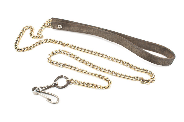 Dog leather and chain leash isolated on white  - Photo, Image