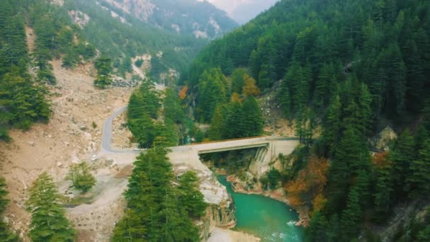 Aerial View of bridge above the Bhagirathi river surrounded by green pine forest in Harsil Valley of Uttarakhand, India. - Footage, Video