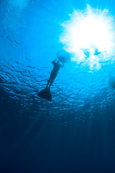 silhouet scuba duiker zwemmen in de diepblauwe oceaan  - Foto, afbeelding