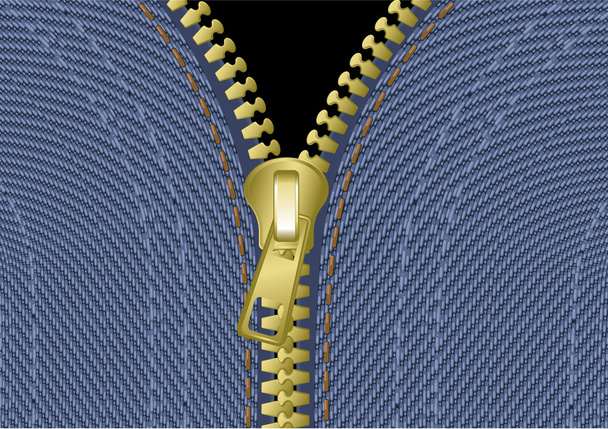 Jeans zipper. - Vector, Image