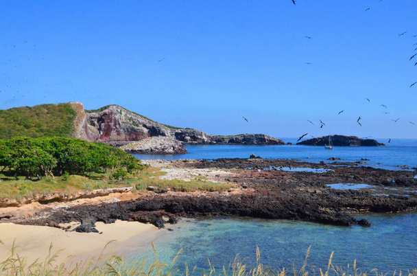 Isla Isabel uma ilha vulcânica a 15 milhas da costa de Mexicos Riviera Nayarit. Lar de milhares de aves, incluindo Bota-de-pés-azuis, Aves tropicais de bico vermelho e Magníficos Frigatebirds. - Foto, Imagem