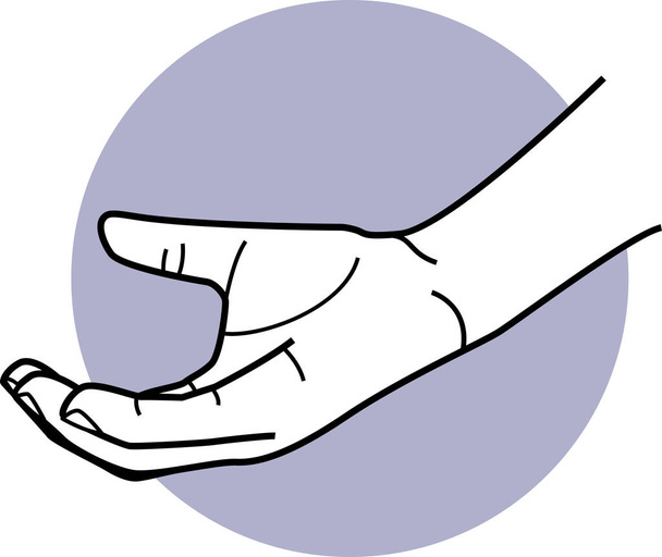 Kéz ujjak és tenyér gesztusok. Különböző kézujjak és akciók vektoros illusztrációi. - Vektor, kép
