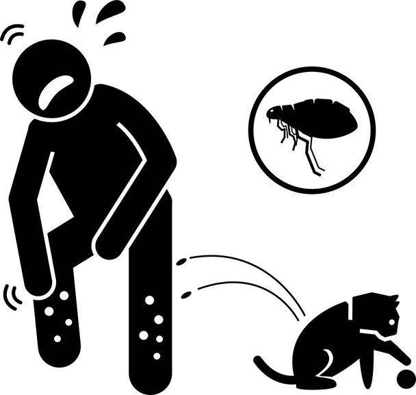 Hyönteiset ja loiset hyökkäävät, purevat ja pistävät ihmistä. Kuvakkeet, merkit ja symbolit kuvaavat muurahaisia, ampiaisia, täitä, hyttysiä, vikoja, iilimatoja, kirppuja, punkkeja, matoja ja hiekkakärpäsiä purra ja pistää ihmisiä. - Vektori, kuva