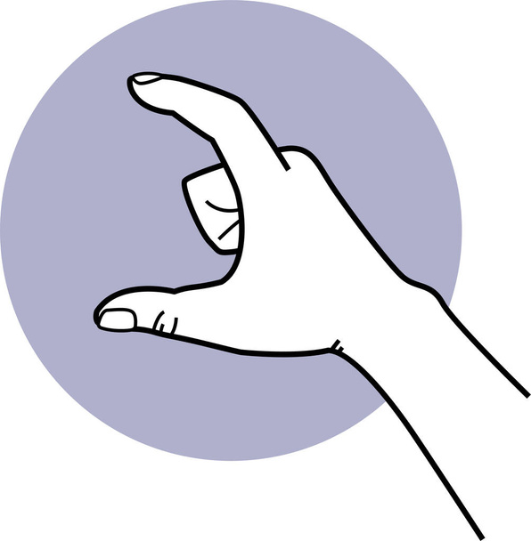 Mano señalando y agarrando gestos. Ilustraciones vectoriales de las poses de las manos y acciones de mostrar la dirección, señalar el camino y tomar las cosas. - Vector, imagen