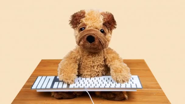 Медвежонок на клавиатуре - Кадры, видео