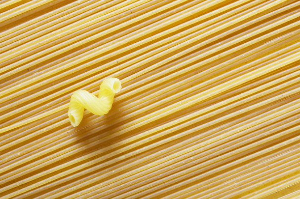 Composition of pasta - Photo, image