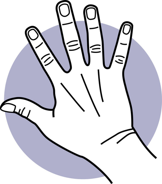 手の指と手のひらのジェスチャー。手の指や行動の様々なポーズのベクトルイラスト. - ベクター画像