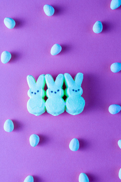 Flat lay view of Three little glazed marshmallow easter bunnies are in the middle with multiple crisp sugar coated easter eggs scattered around. Easter celebration concept. Light blue over purple  - Photo, Image